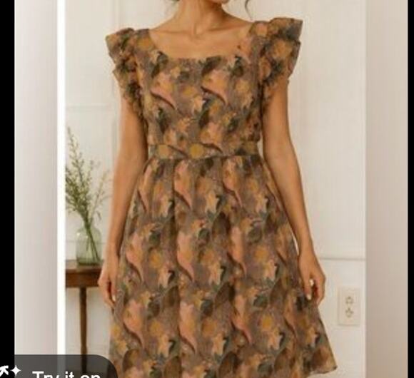 James Coviello Dresses & Skirts - James Coviello 100% Silk Floral Ruffle Sleeve Dress Women's US 6 Art Nouveau